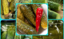 Why pickled cucumbers shriveled and how to make the right cut to avoid it