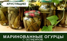 How to prepare pickled cucumbers with aspirin is simple and delicious: 7 best recipes