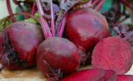 High-yielding table beet