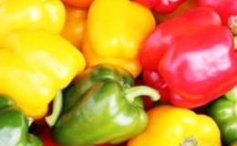 What vitamins are in bell pepper and how is it useful for the body