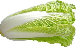 How many calories are in Chinese cabbage and how it is useful