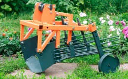 The advantages of a manual potato digger and how to do it yourself