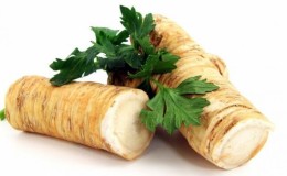 Do-it-yourself burning blank: is it possible to freeze horseradish for the winter and how to do it right