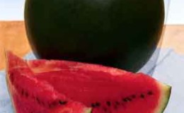 Early ripening sweet watermelon