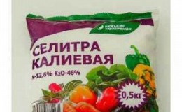 Why potassium nitrate is useful for cucumbers during fruiting and how to use it correctly