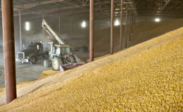 Terms, rules and methods for storing wheat on an industrial scale and at home