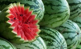 When do watermelons ripen and how to determine their maturity