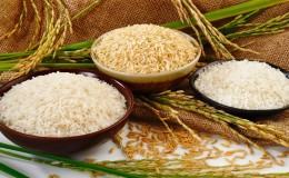 Useful properties and calorie content of rice