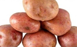 Disease-resistant table potato