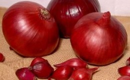 Mid-season onion