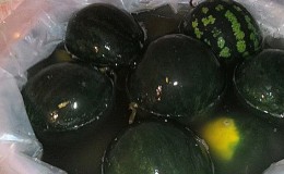 How to ferment watermelons in a barrel: time-tested recipes