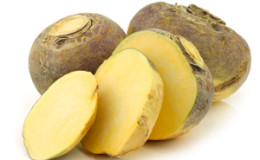 What is rutabaga, how does it grow, what is useful and where it is used