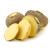 What is rutabaga, how does it grow, what is useful and where it is used