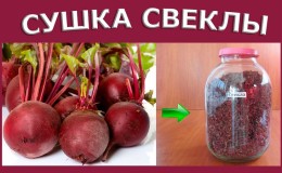 An interesting preparation for the winter: we store dried beets correctly together with the tops and use them in cooking