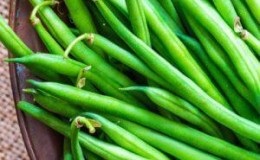 What is the difference between asparagus beans and green beans: photos of legumes and the difference between them