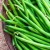 What is the difference between asparagus beans and green beans: photos of legumes and the difference between them