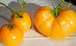 How to grow