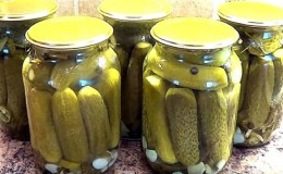 The most delicious recipes for cucumbers with citric acid for the winter