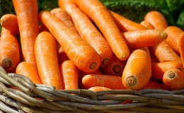 Calorie content, vitamins and nutritional value of fresh and cooked carrots