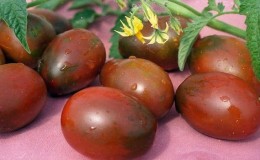 Secrets of successful cultivation of