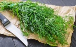 The health benefits of dill and what is eaten in it