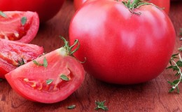 Hybrid variety from Japanese breeders - tomato