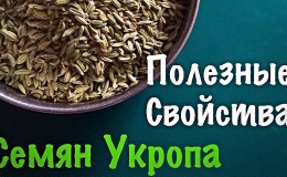 How to properly brew and take dill cough seeds for children and adults