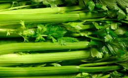 What types of celery are and how they differ