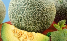 Review of the sweet and juicy variety of melon