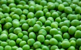 Next to which crops is it better to plant peas