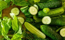 Mid-season cucumber hybrid 