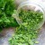 Best recommendations on how to prepare parsley for the winter and preserve the flavor