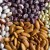 Top 26 best varieties of beans with photos and descriptions: what varieties they are and how to choose the right one
