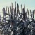 How to grow in the open field and use African millet on the farm