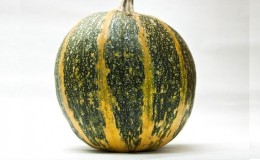 Features of growing gymnospermous pumpkin and what seeds you should pay attention to
