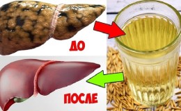 The best recipes for cleansing the liver with oats at home