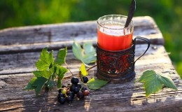 How to make tea from currant leaves and how it is useful for the body