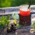 How to make tea from currant leaves and how it is useful for the body