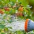 How abundantly and how often to water gooseberries and currants in summer