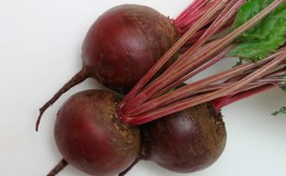 Bordeaux beetroot: ideal color and flavor for cooking and long-term storage