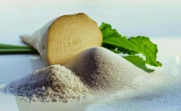 What is sugar beet: the full path from sowing a vegetable to the resulting sugar on our table