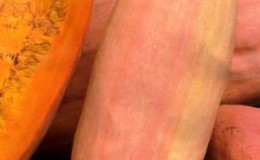 Exotic vegetable with an unusual taste and name - pumpkin