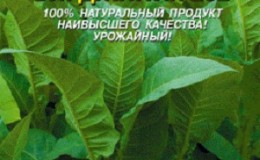 Step by step guide on how to grow Virginia 202 tobacco
