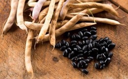 How to grow black beans on your site and properly prepare the resulting crop - the best recipes