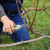 When and how to properly prune grapes in spring for beginners step by step: instructions and diagrams
