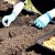 How to plant onions correctly and to what depth for the winter