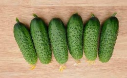 A promising and high-yielding hybrid of