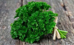 What is the name of curly parsley