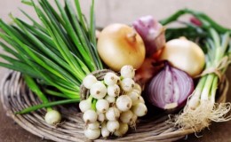 What types of onions are, their characteristics, and which variety is best suited for long-term storage