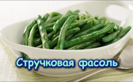 The benefits of bean pods: how to properly collect, prepare and make a healing drink
